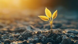 SNSで副業を始めるなら「3ステップ」だけ意識しればOK【シンプル】